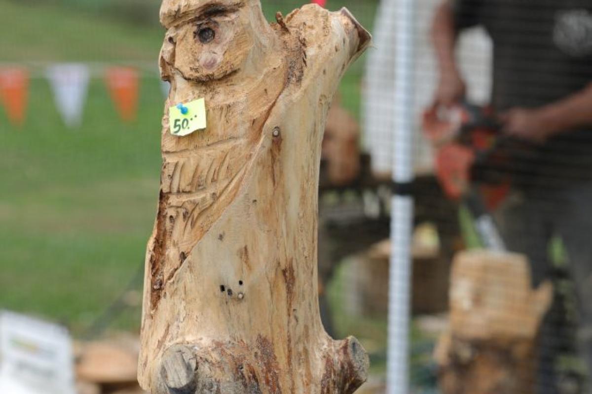 wooden bear carving